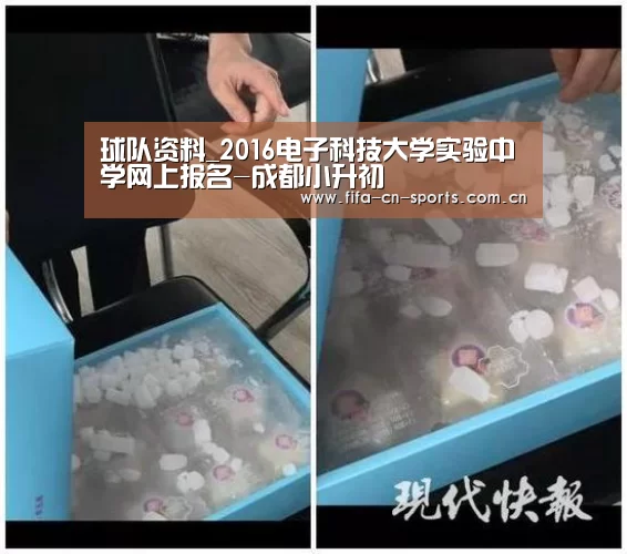 球队资料_2016电子科技大学实验中学网上报名-成都小升初(图1) 世界杯资讯