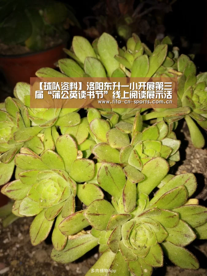 世界杯资讯