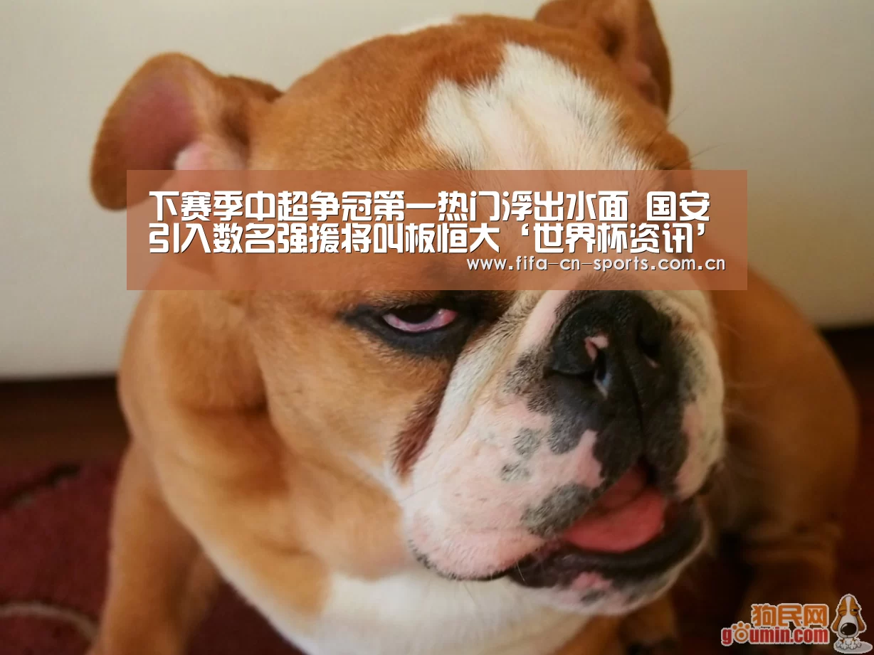 下赛季中超争冠第一热门浮出水面 国安引入数名强援将叫板恒大‘世界杯资讯’(图2) 新闻快讯