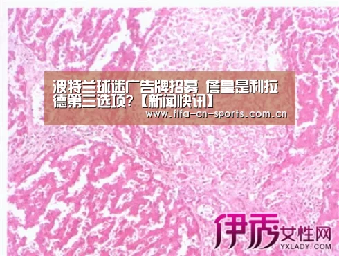 波特兰球迷广告牌招募 詹皇是利拉德第三选项?【新闻快讯】(图2) 球队资料
