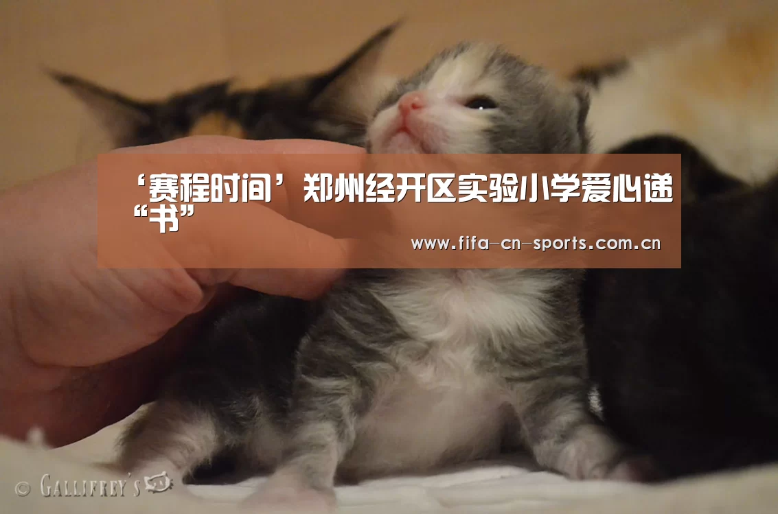 ‘赛程时间’郑州经开区实验小学爱心递“书”(图1) 赛程时间