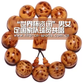 球队资料
