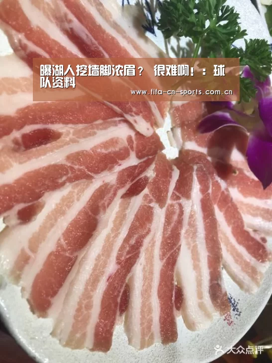 世界杯资讯