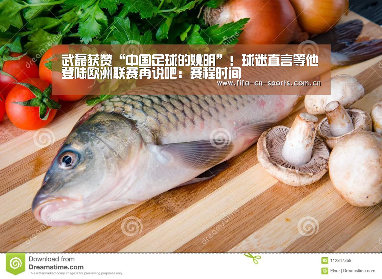 世界杯资讯