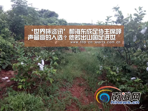 赛程时间