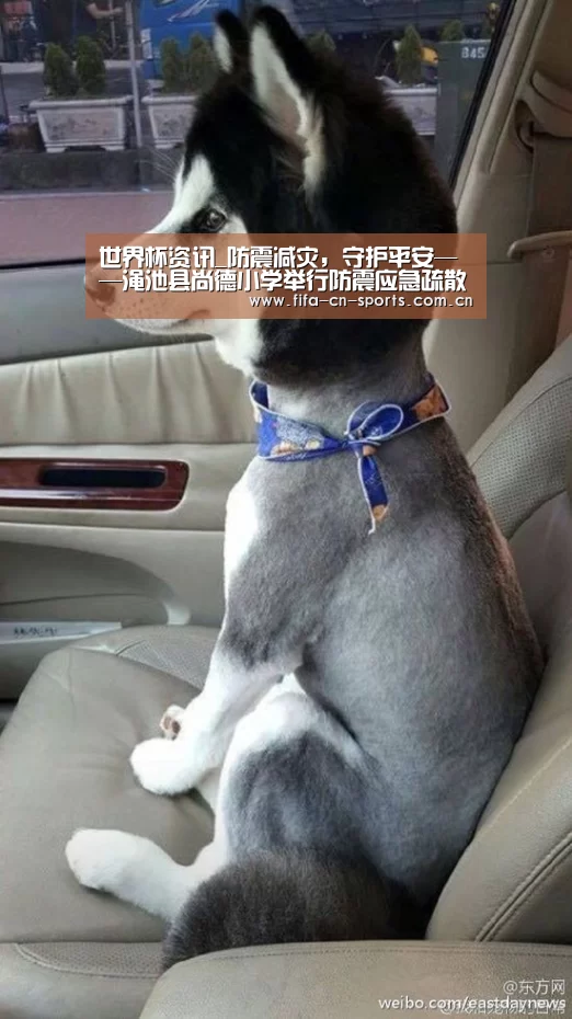 球队资料