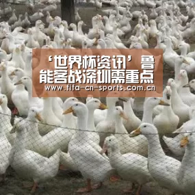‘世界杯资讯’鲁能客战深圳需重点盯防对手一悍将 他曾对阵鲁能频频进球爆发(图2) 球队资料