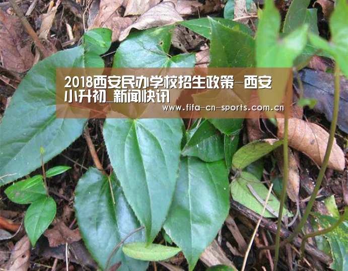 2018西安民办学校招生政策-西安小升初