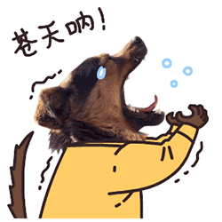 球队资料